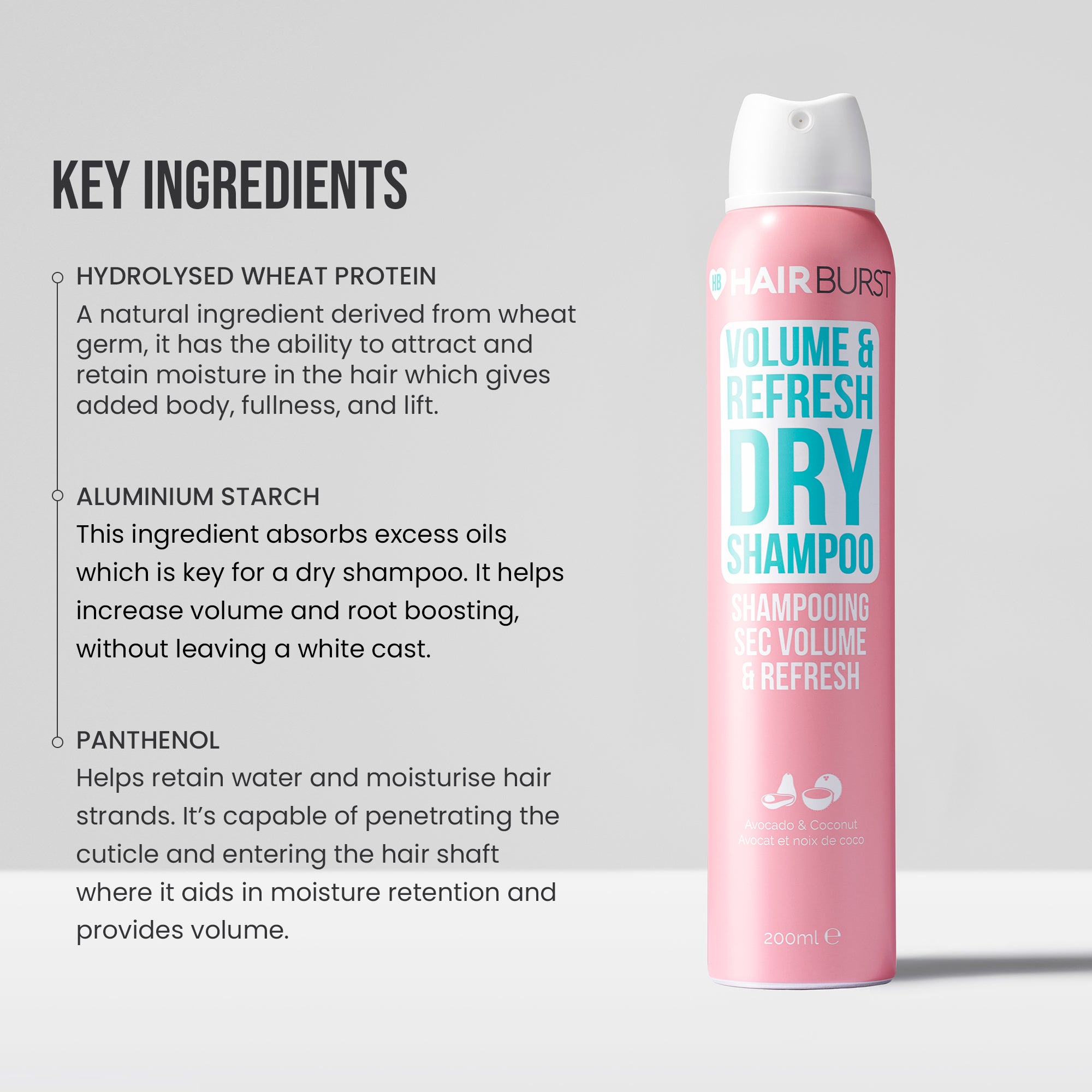 Volume & Refresh Dry Shampoo